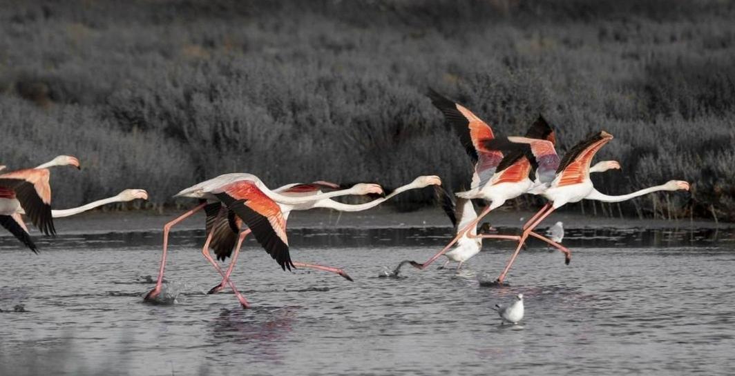 Appartamento La Mar Amposta Esterno foto